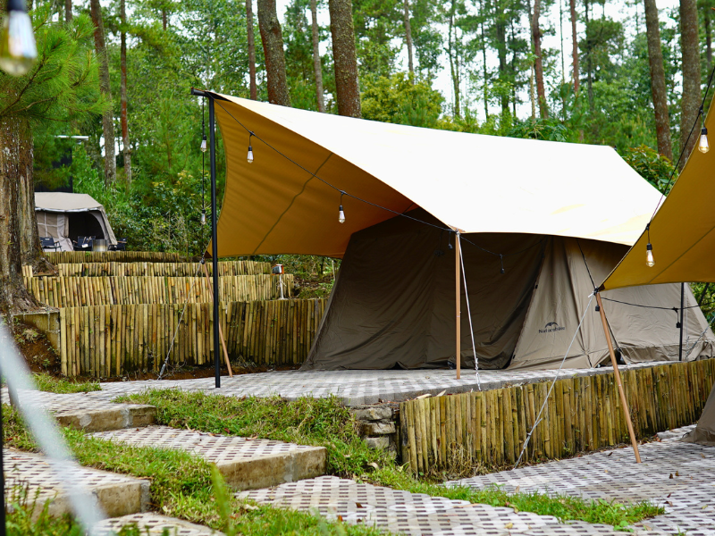 Kenyamanan Estetik di Bawah Tenda