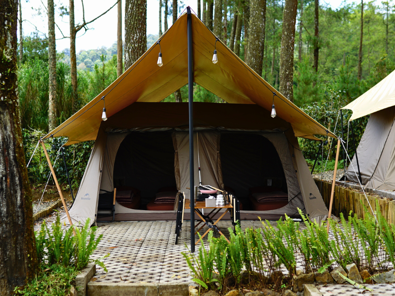 Suasana Menginap Premium di Tengah Hutan