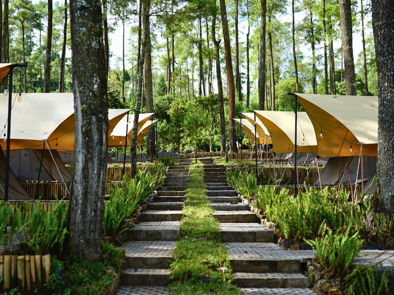 Suasana Tenang di Jalur Menuju Tenda